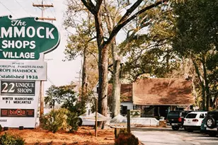 314 Tall Pines Way, Pawleys Island, SC 29585 - Photo 60