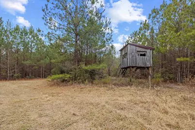 Tbd 183 Acres Blakely Rd., Salters, SC 29590 - Photo 2