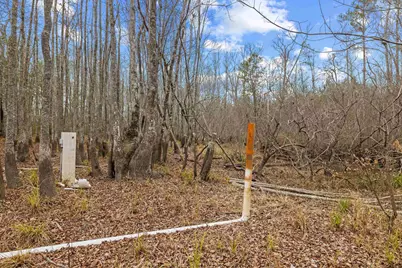 Tbd 183 Acres Blakely Rd., Salters, SC 29590 - Photo 12