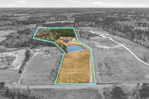 867 Dog Bluff Rd, Galivants Ferry, SC 29544 - Photo 74