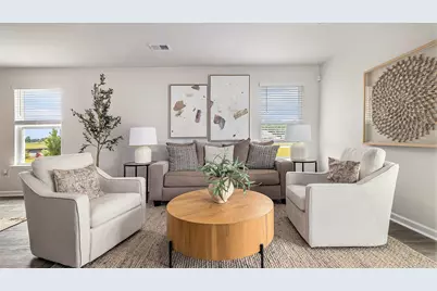 378 Hadley Springs Ave, Longs, SC 29568 - Photo 4