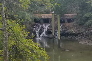 337 Clam Shell Cir, Murrells Inlet, SC 29576 - Photo 40