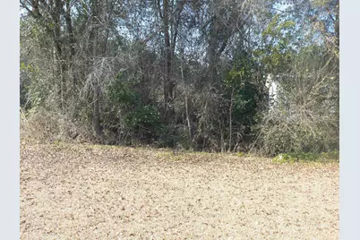 639 Muster Field Ct., Conway, SC 29526 - Photo 6