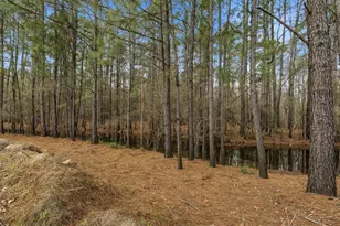 3566 Steamer Trace Rd, Conway, SC 29527 - Photo 42