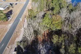 626 Goretown Loop, Loris, SC 29569 - Photo 26