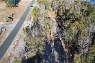 626 Goretown Loop, Loris, SC 29569 - Photo 24