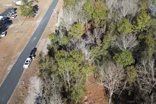 652 Goretown Loop, Loris, SC 29569 - Photo 28