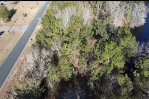 652 Goretown Loop, Loris, SC 29569 - Photo 30