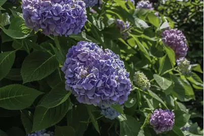 104 Westhill Circle #6-E, Myrtle Beach, SC 29572 - Photo 36