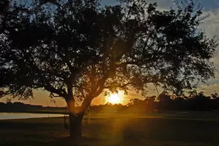 2987 Luvan Blvd, Georgetown, SC 29440 - Photo 52