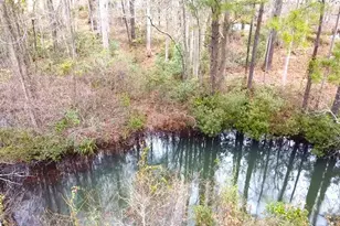 932 Hope Cir, Conway, SC 29527 - Photo 6