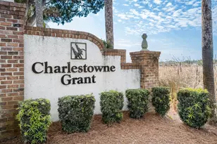 324 Sea Oats Cir, Pawleys Island, SC 29585 - Photo 34