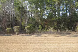 5452 Knobcone Loop, Myrtle Beach, SC 29577 - Photo 34