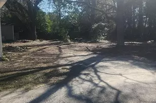 149 N Butler Ave, Johnsonville, SC 29555 - Photo 8