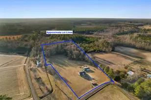 6870 Clay Hill Rd, Galivants Ferry, SC 29544 - Photo 54