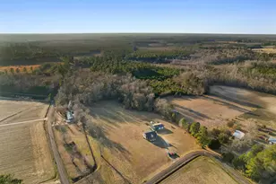 6870 Clay Hill Rd, Galivants Ferry, SC 29544 - Photo 42