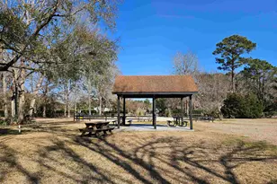 104 Wild Flower Trail, Pawleys Island, SC 29585 - Photo 48