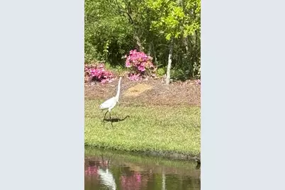 118 Ranch Haven Dr., Murrells Inlet, SC 29576 - Photo 62