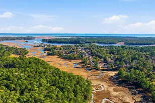 2226 Dykman Cir, Little River, SC 29566 - Photo 56