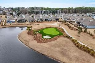 1307 Littleleaf Loop, North Myrtle Beach, SC 29582 - Photo 26