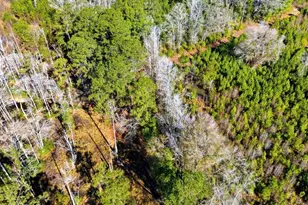 1850 Pitch Landing Rd, Conway, SC 29527 - Photo 52