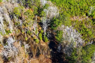 1850 Pitch Landing Rd, Conway, SC 29527 - Photo 74