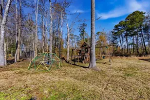 1850 Pitch Landing Rd, Conway, SC 29527 - Photo 50