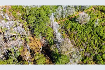 1850 Pitch Landing Rd., Conway, SC 29527 - Photo 72