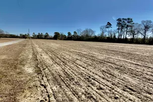2249 Joann Branch Rd, Lake View, SC 29563 - Photo 4