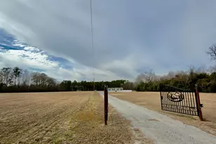 2249 Joann Branch Rd, Lake View, SC 29563 - Photo 2