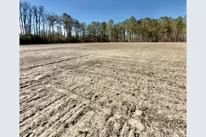 2249 Joann Branch Rd., Lake View, SC 29563 - Photo 6