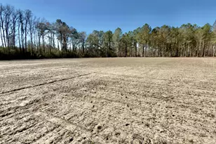 2249 Joann Branch Rd, Lake View, SC 29563 - Photo 6