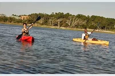 733 Locomotive Place, Loris, SC 29569 - Photo 18