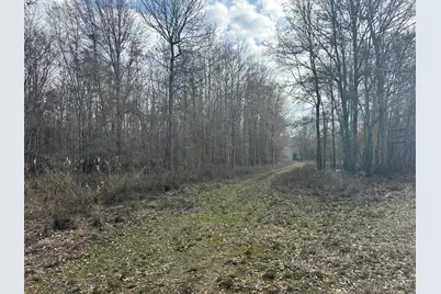 Tbd Hunters Chapel Rd, Ehrhardt, SC 29081 - Photo 32