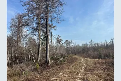 Tbd Hunters Chapel Rd, Ehrhardt, SC 29081 - Photo 50