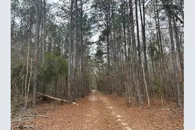 Tbd Hunters Chapel Rd, Ehrhardt, SC 29081 - Photo 22