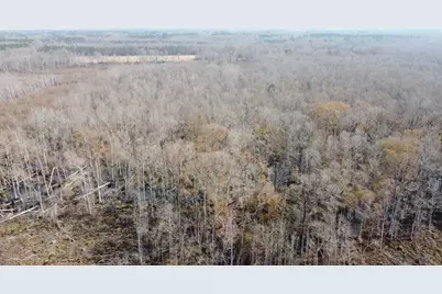 Tbd Hunters Chapel Rd, Ehrhardt, SC 29081 - Photo 16