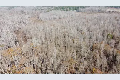 Tbd Hunters Chapel Rd, Ehrhardt, SC 29081 - Photo 14