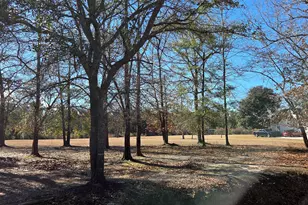 59 Fiddlers Loop, Georgetown, SC 29440 - Photo 1