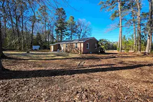 2833 Springville Rd, Marion, SC 29571 - Photo 40