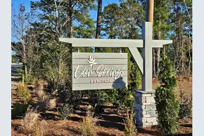 414 Hadley Springs Ave, Longs, SC 29568 - Photo 24