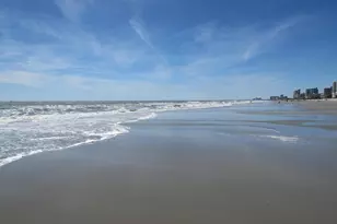 488 River Oaks Dr, Myrtle Beach, SC 29579 - Photo 40