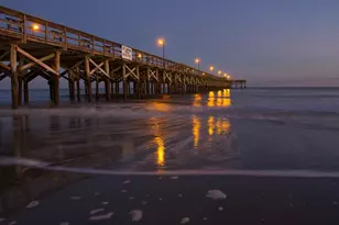 276 Carolina Farms Blvd, Myrtle Beach, SC 29579 - Photo 50