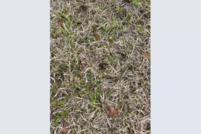 325 Kauffman St., Georgetown, SC 29440 - Photo 6