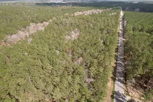 Tract D - Tbd Pennyroyal Rd, Georgetown, SC 29440 - Photo 1