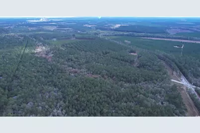 Tract D - Tbd Pennyroyal Rd., Georgetown, SC 29440 - Photo 6