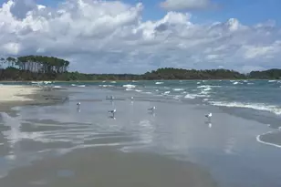 6309 N Ocean Blvd, North Myrtle Beach, SC 29582 - Photo 44