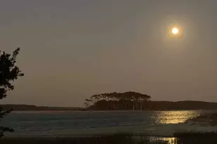 6309 N Ocean Blvd, North Myrtle Beach, SC 29582 - Photo 46