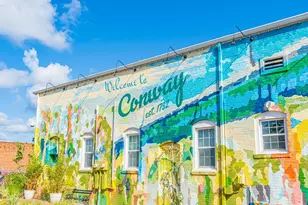 1445 Abberbury Dr, Conway, SC 29527 - Photo 44