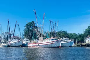 75 Duckpond Pl, Georgetown, SC 29440 - Photo 52